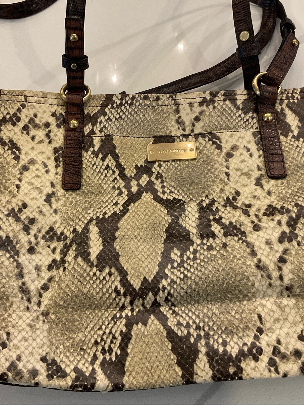 Brahmin Snake-Print Tote Bag with Brown Trim